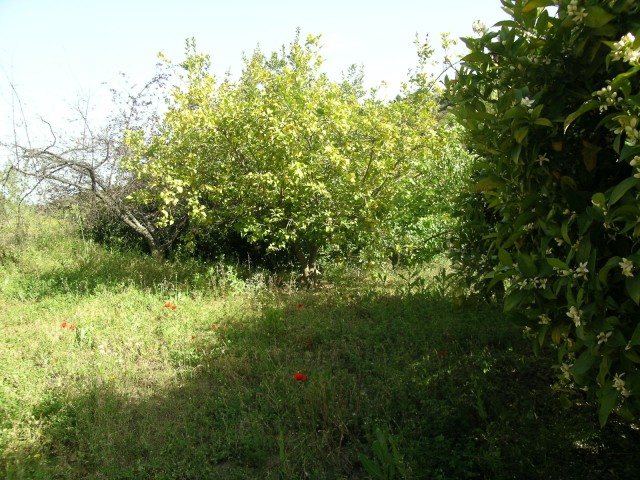 Te koop Country Home Costa Del Sol Colmenar € 510.000,-