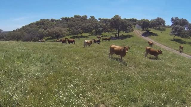 Te koop Country Home Costa Del Sol Córdoba € 3.000.000,-