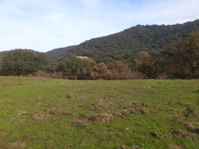 Te koop Country Home Costa Del Sol Córdoba € 3.000.000,-