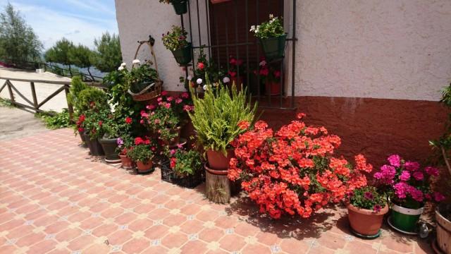 Te koop Cortijo Costa Del Sol Colmenar € 450.000,-
