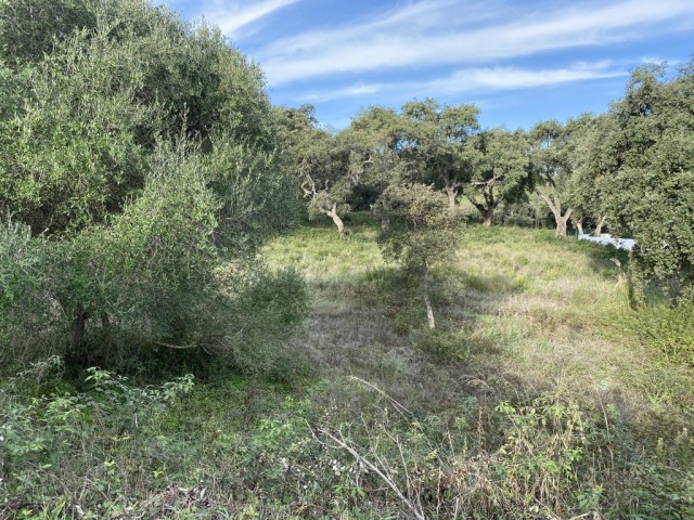 Te koop Bouwgrond Costa Del Sol San Roque Golf Club € 322.000,-