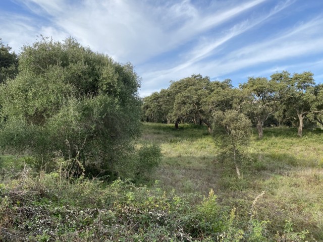 Te koop Bouwgrond Costa Del Sol San Roque Golf Club € 322.000,-