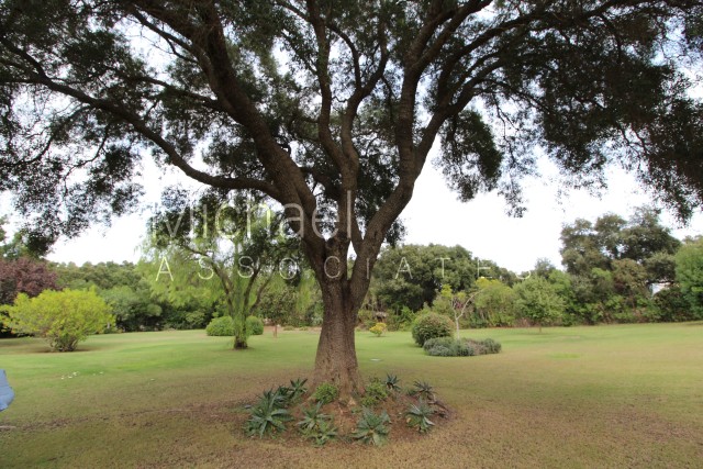 Te koop Vrijstaande Villa Costa Del Sol Sotogrande Alto € 1.850.000,-