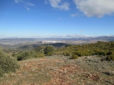 AYZABP554_13991_V0_C002.jpg