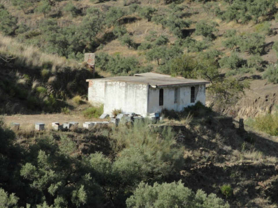 Te koop Grond Costa Del Sol Cómpeta € 270.000,-