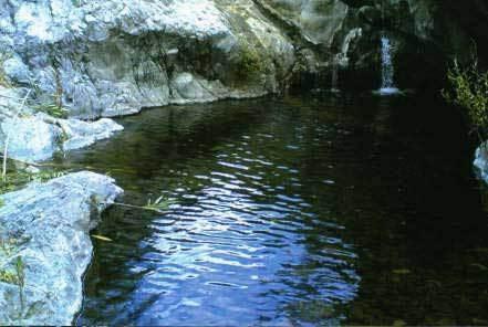 Detached House Estepona