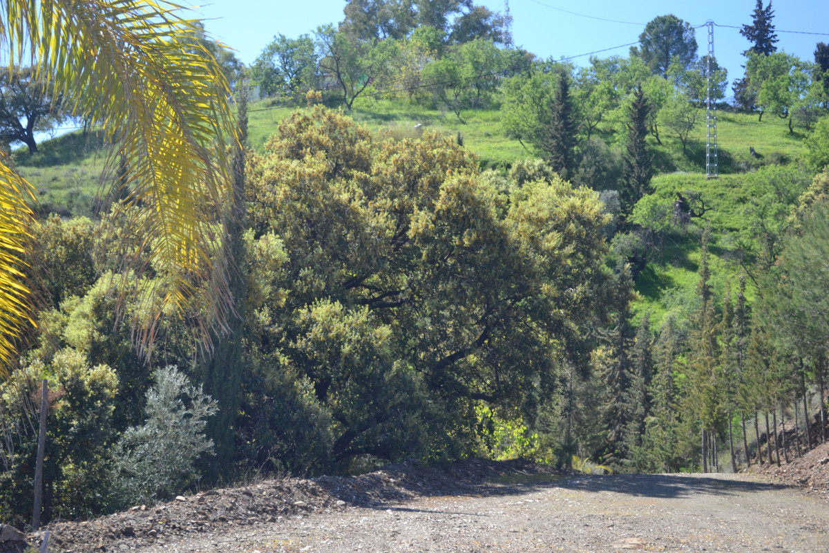 Te koop Finca - Cortijo Costa Del Sol Coín € 1.495.000,-