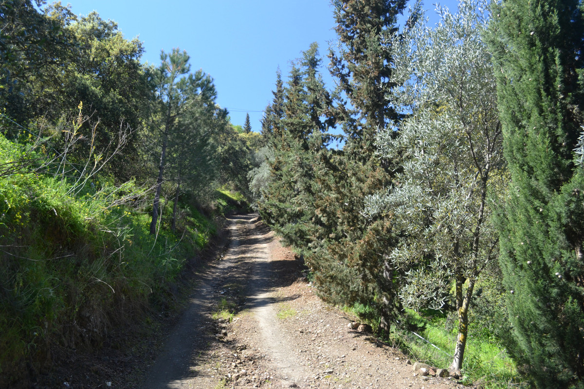 Te koop Finca - Cortijo Costa Del Sol Coín € 1.495.000,-