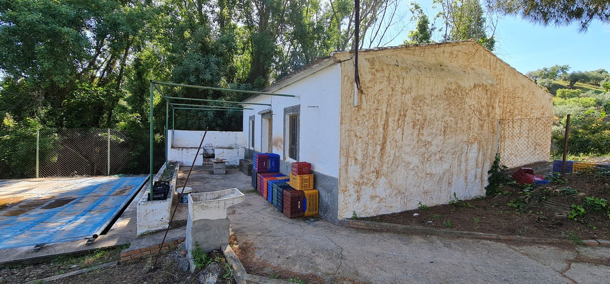 Villa Tolox