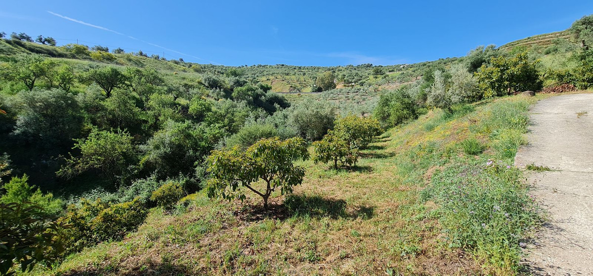 Te koop Vrijstaande Villa Costa Del Sol Tolox € 320.000,-