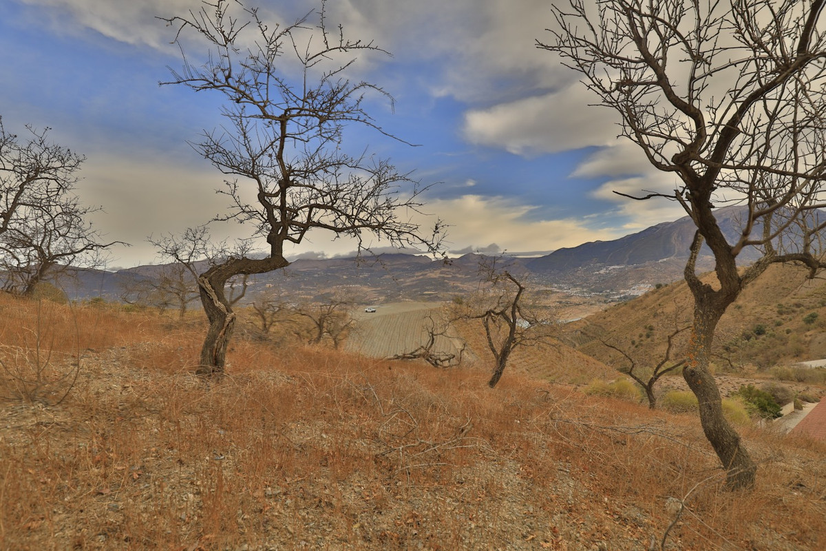 Te koop Grond Costa Del Sol La Viñuela € 240.000,-