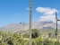 5-3595ad71cbd87be6c3643a4285ef4791.jpg