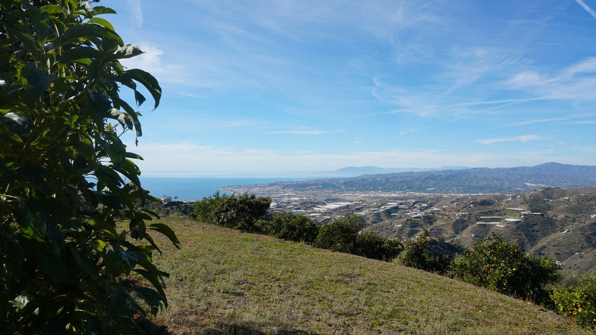 Te koop Finca - Cortijo Costa Del Sol Sayalonga € 499.000,-