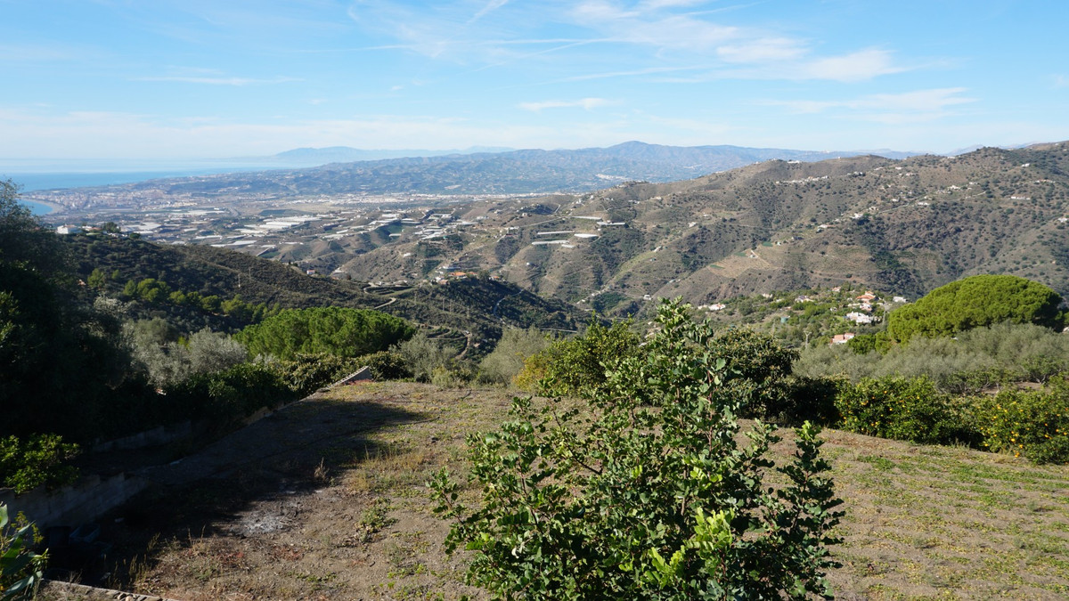 Te koop Finca - Cortijo Costa Del Sol Sayalonga € 499.000,-