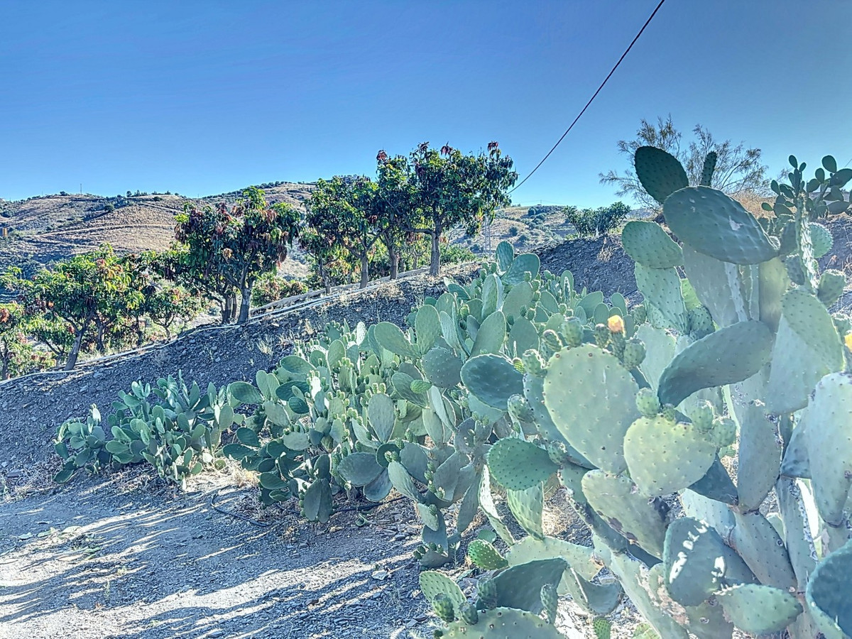 Te koop Finca - Cortijo Costa Del Sol Benamargosa € 288.000,-