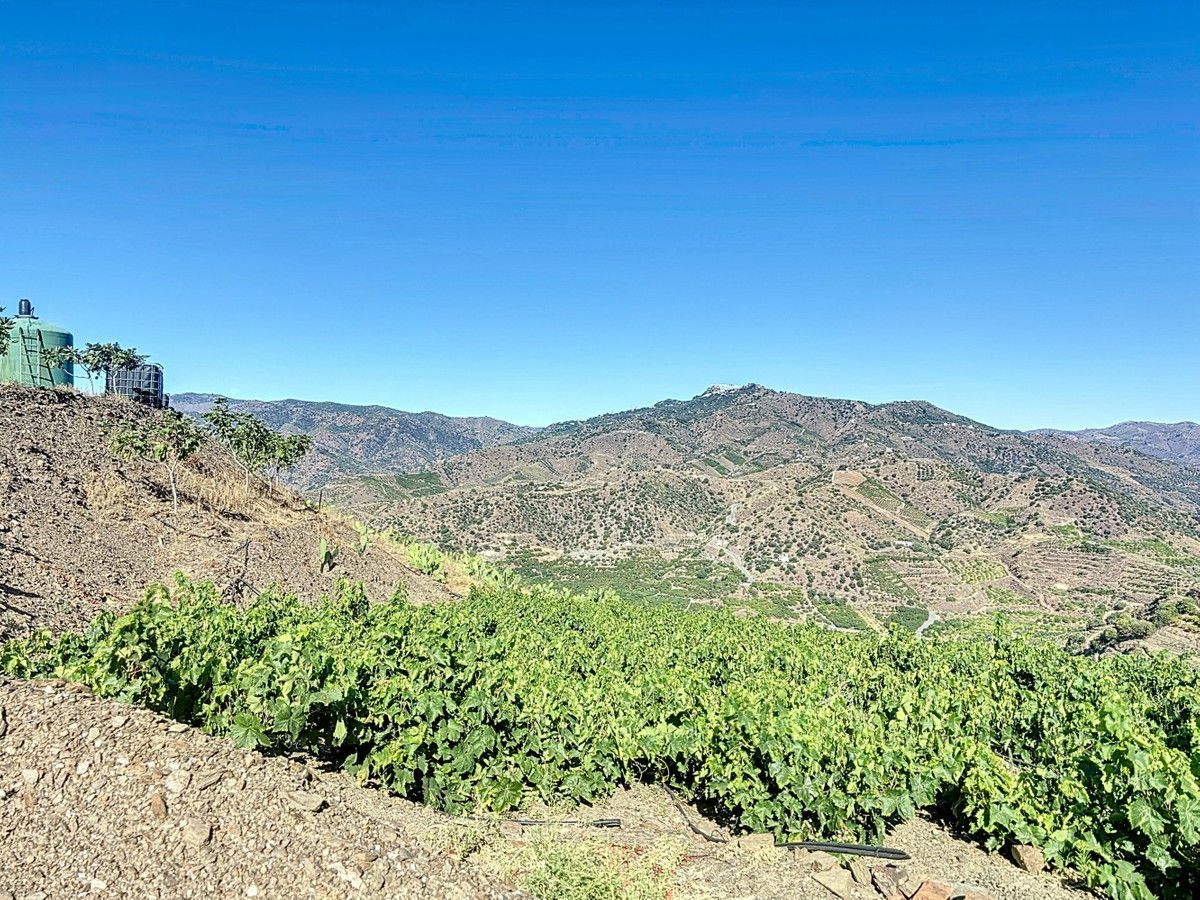 Te koop Finca - Cortijo Costa Del Sol Benamargosa € 288.000,-