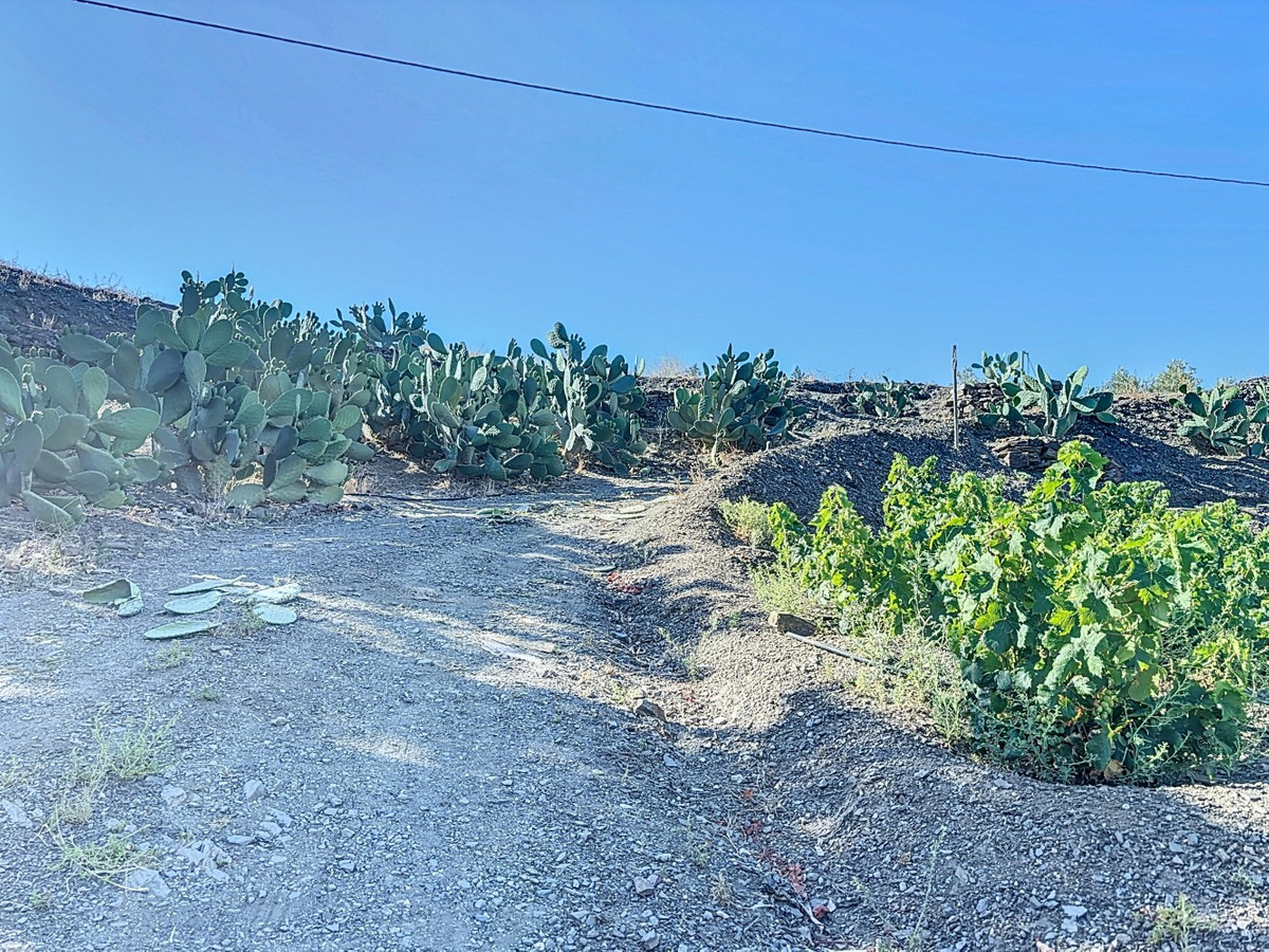 Te koop Finca - Cortijo Costa Del Sol Benamargosa € 288.000,-