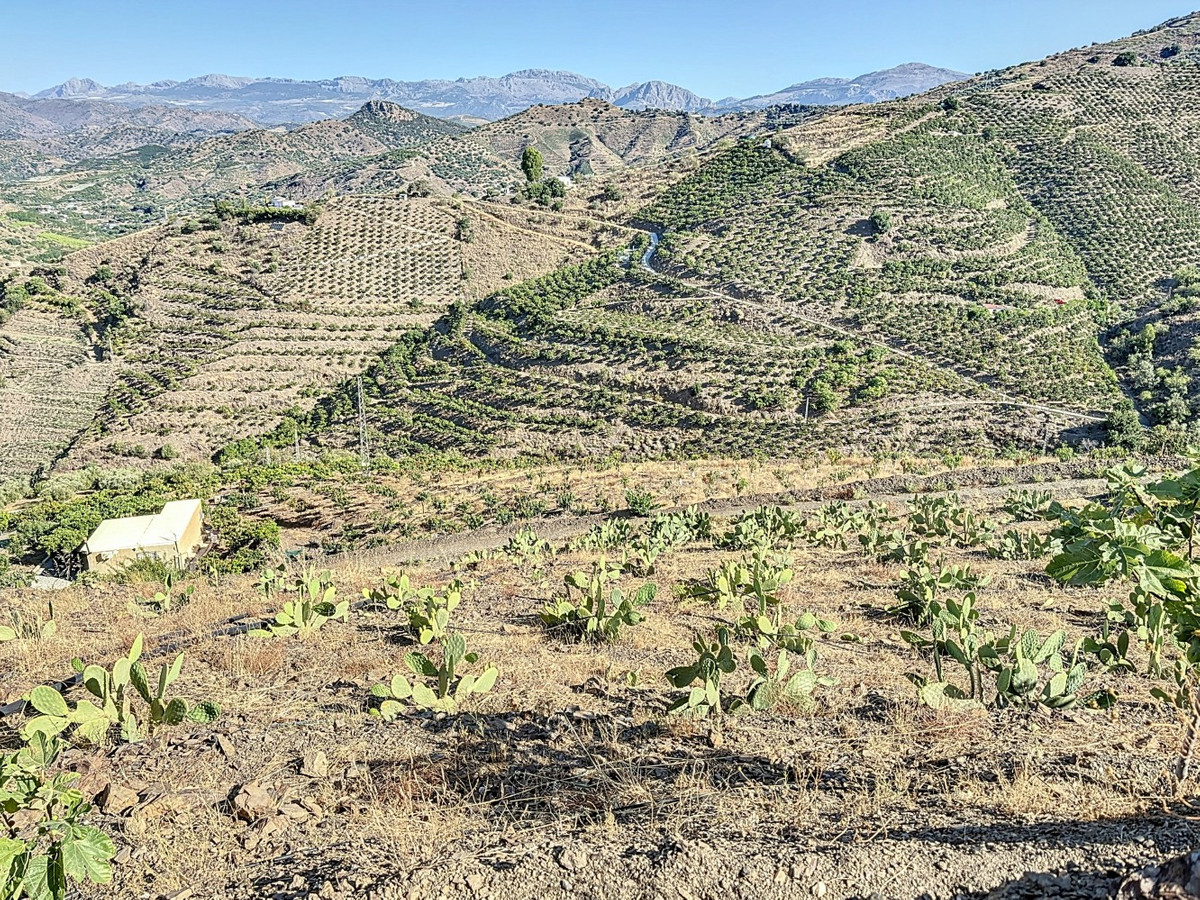 Te koop Finca - Cortijo Costa Del Sol Benamargosa € 288.000,-