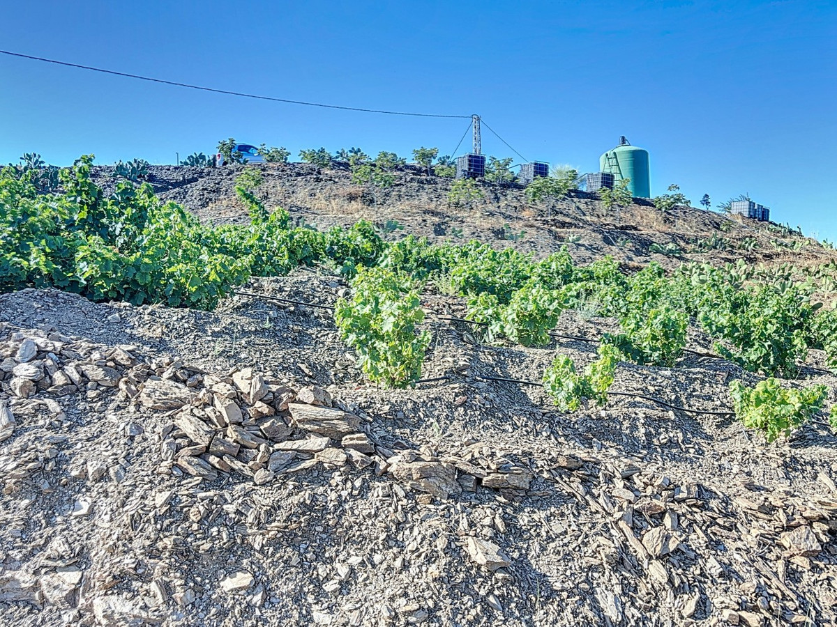 Te koop Finca - Cortijo Costa Del Sol Benamargosa € 288.000,-