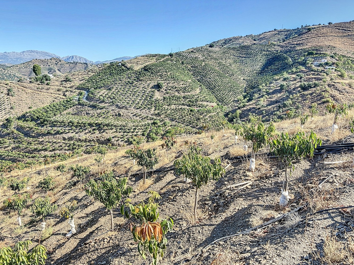 Te koop Finca - Cortijo Costa Del Sol Benamargosa € 288.000,-