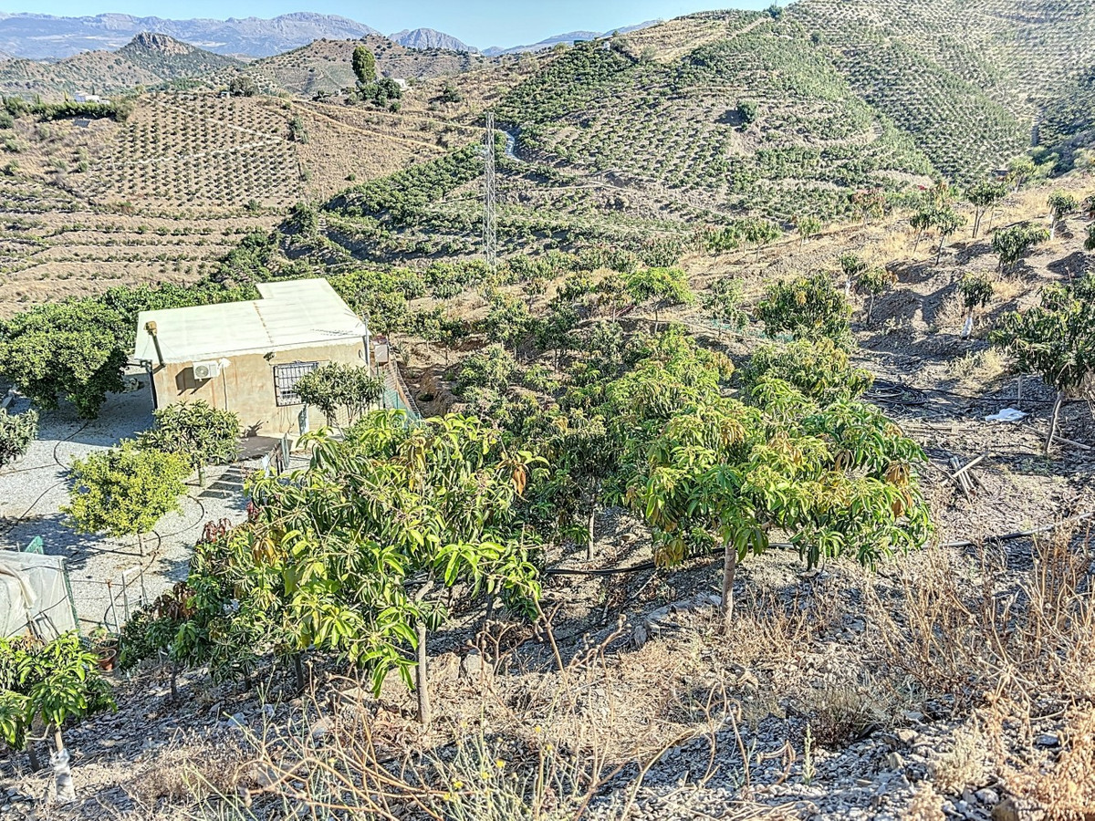 Te koop Finca - Cortijo Costa Del Sol Benamargosa € 288.000,-