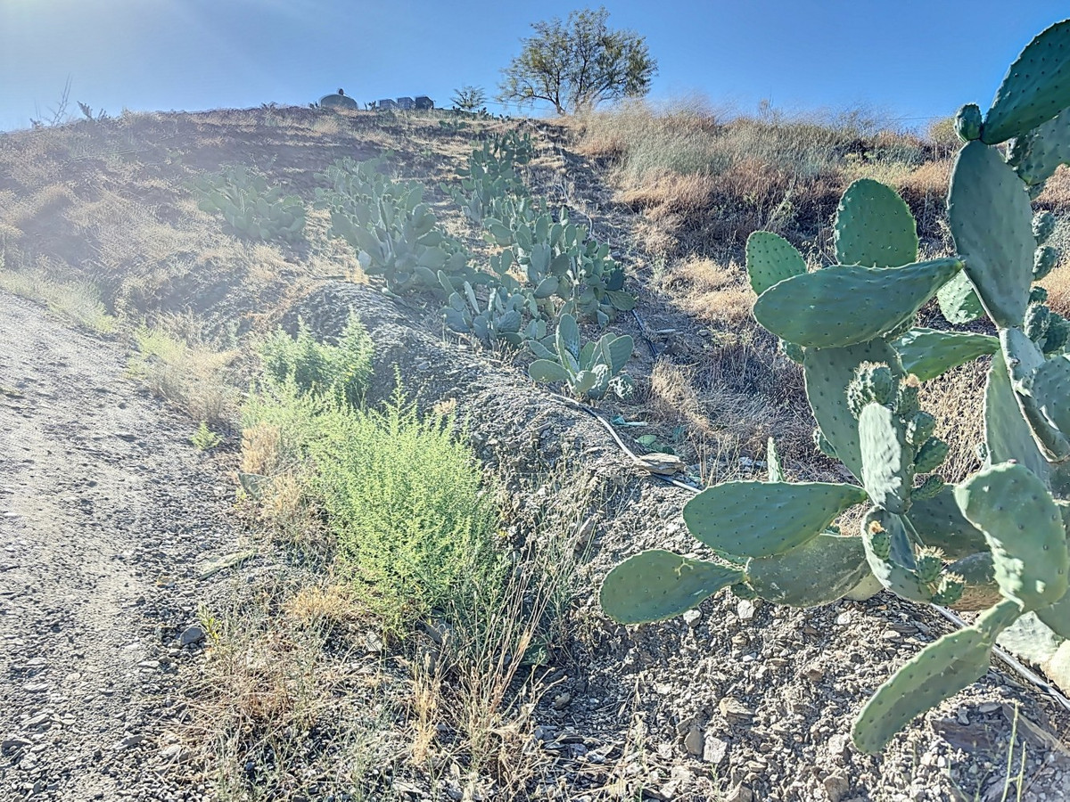 Te koop Finca - Cortijo Costa Del Sol Benamargosa € 288.000,-