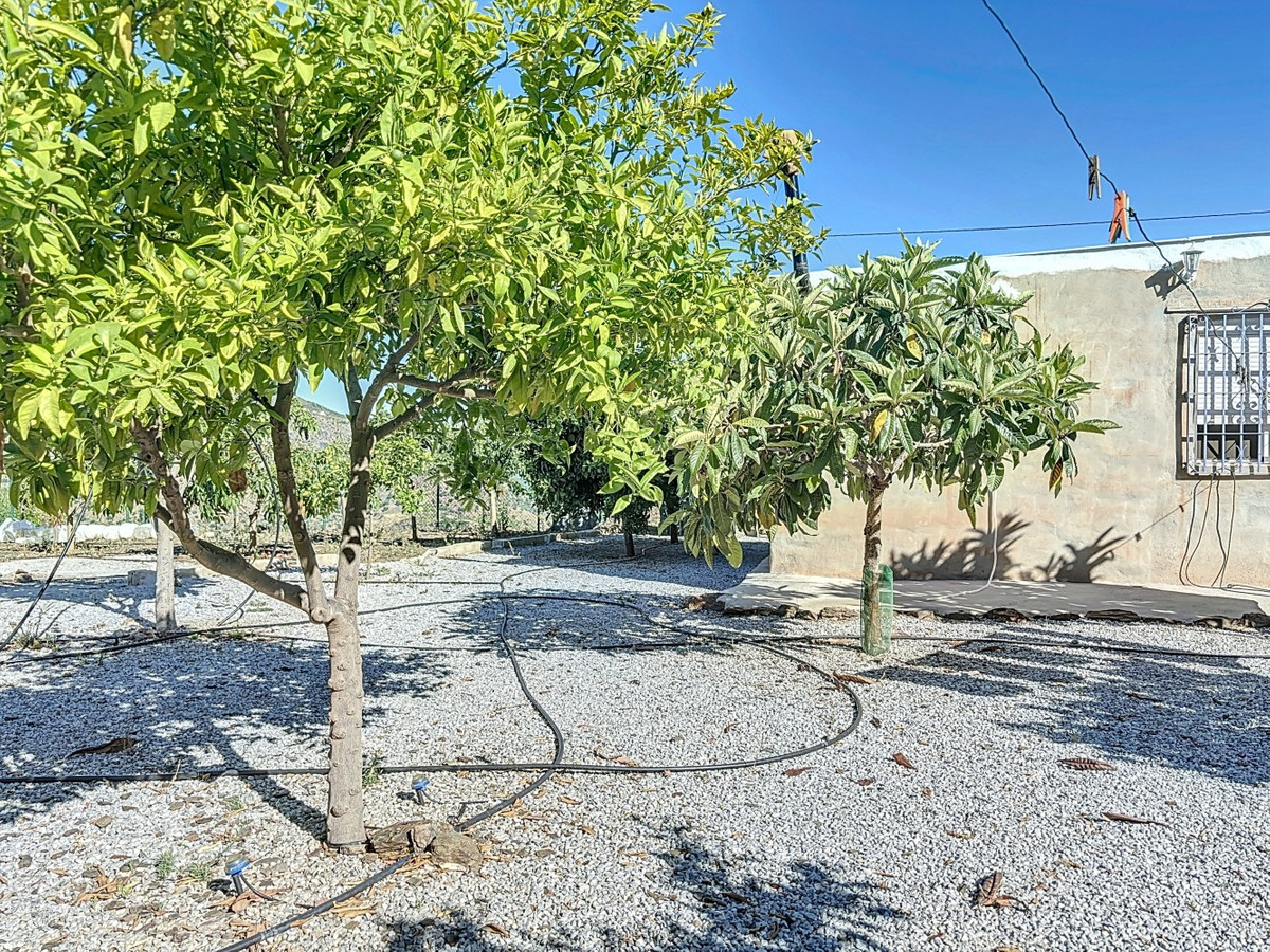 Te koop Finca - Cortijo Costa Del Sol Benamargosa € 288.000,-