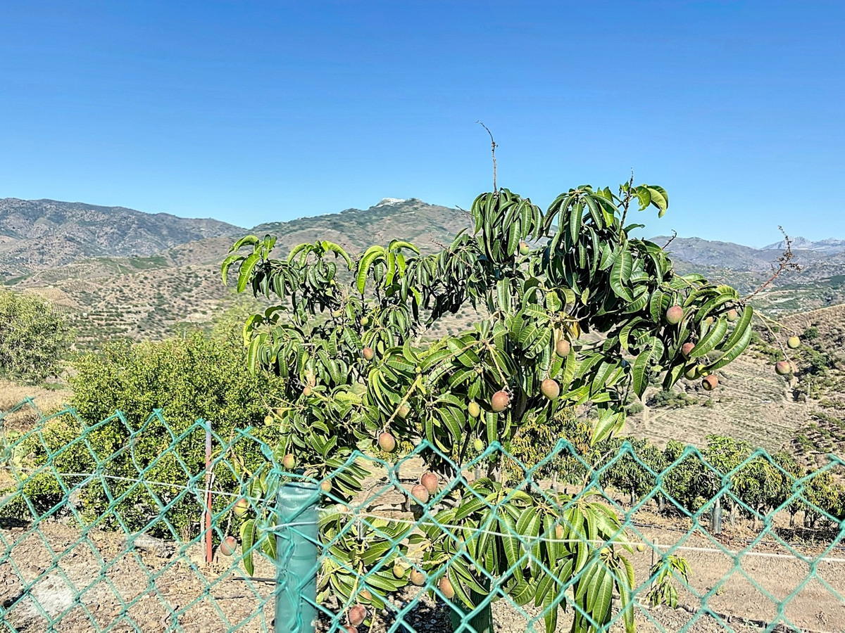 Te koop Finca - Cortijo Costa Del Sol Benamargosa € 288.000,-