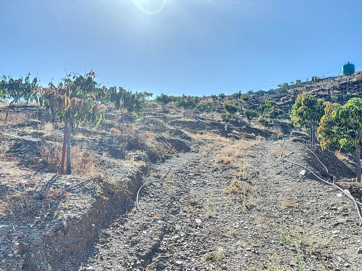 Te koop Finca - Cortijo Costa Del Sol Benamargosa € 288.000,-