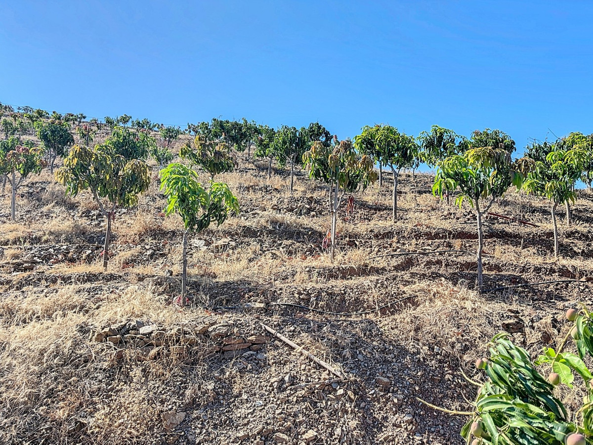 Te koop Finca - Cortijo Costa Del Sol Benamargosa € 288.000,-