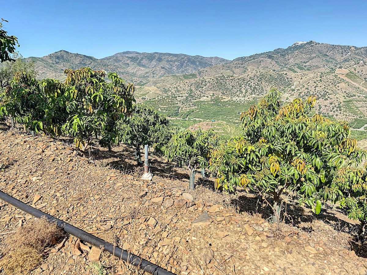 Te koop Finca - Cortijo Costa Del Sol Benamargosa € 288.000,-