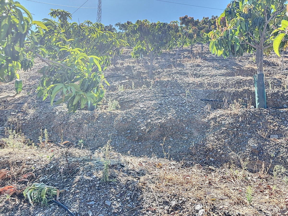 Te koop Finca - Cortijo Costa Del Sol Benamargosa € 288.000,-