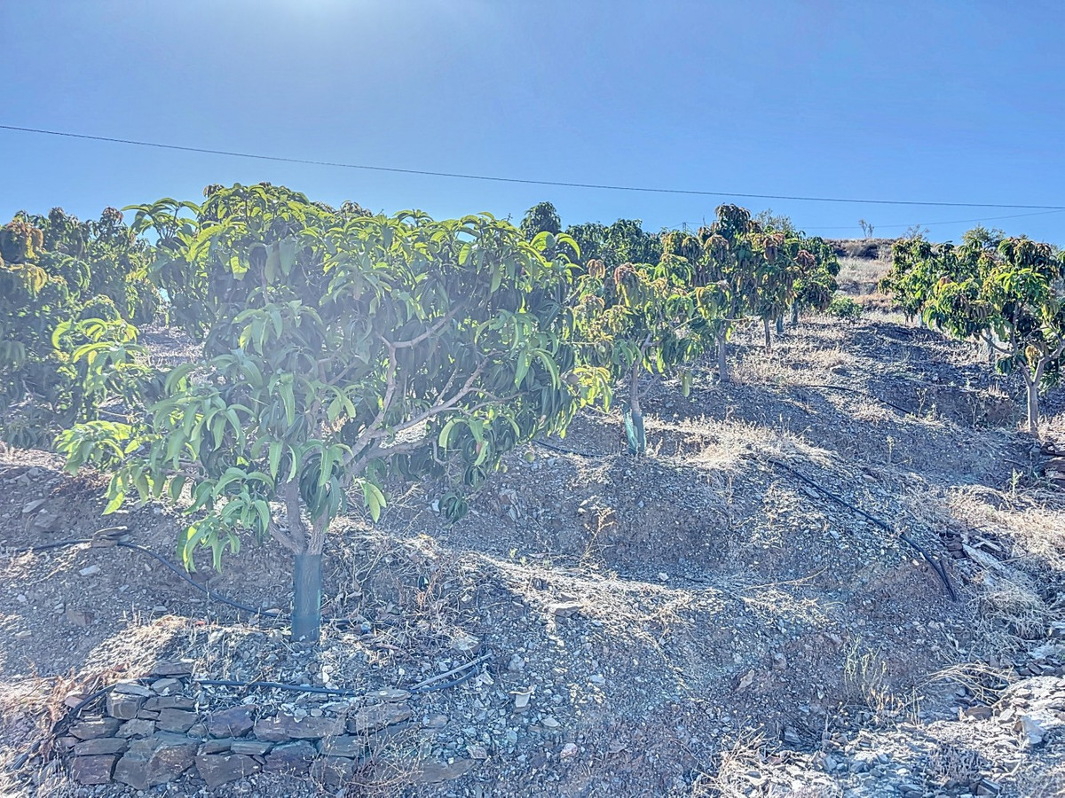 Te koop Finca - Cortijo Costa Del Sol Benamargosa € 288.000,-