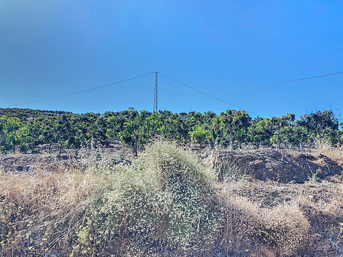 Te koop Finca - Cortijo Costa Del Sol Benamargosa € 288.000,-