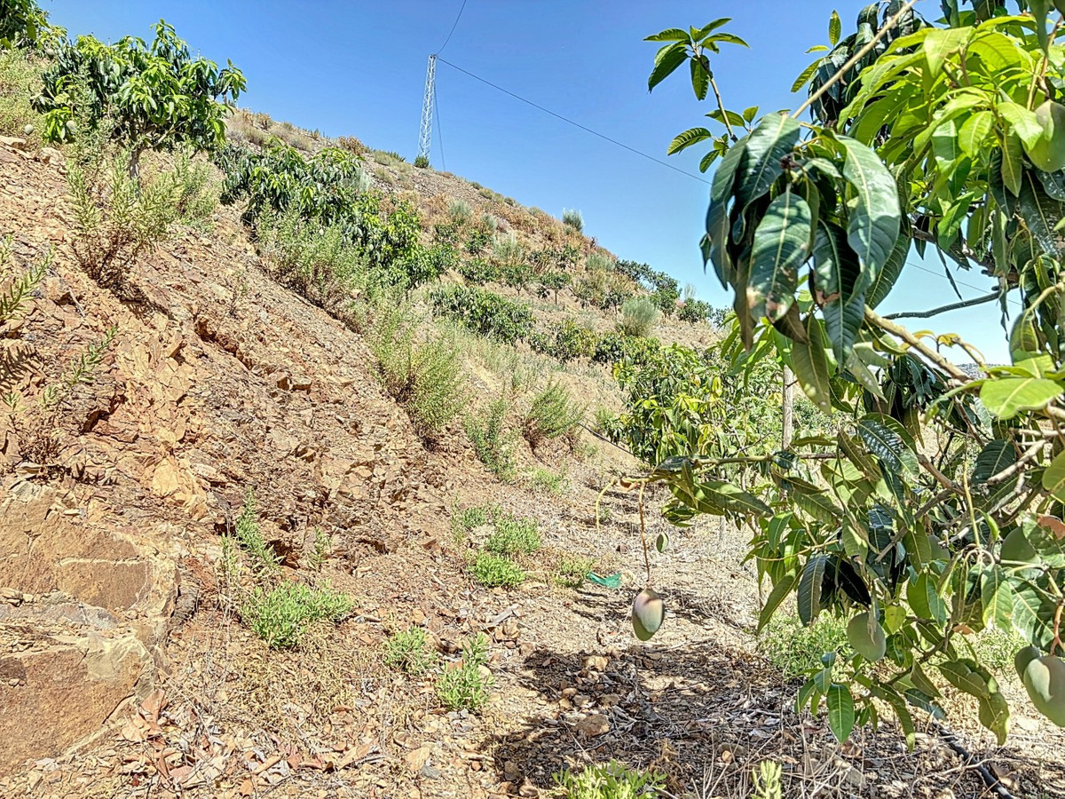 Te koop Grond Costa Del Sol Cajiz € 425.000,-