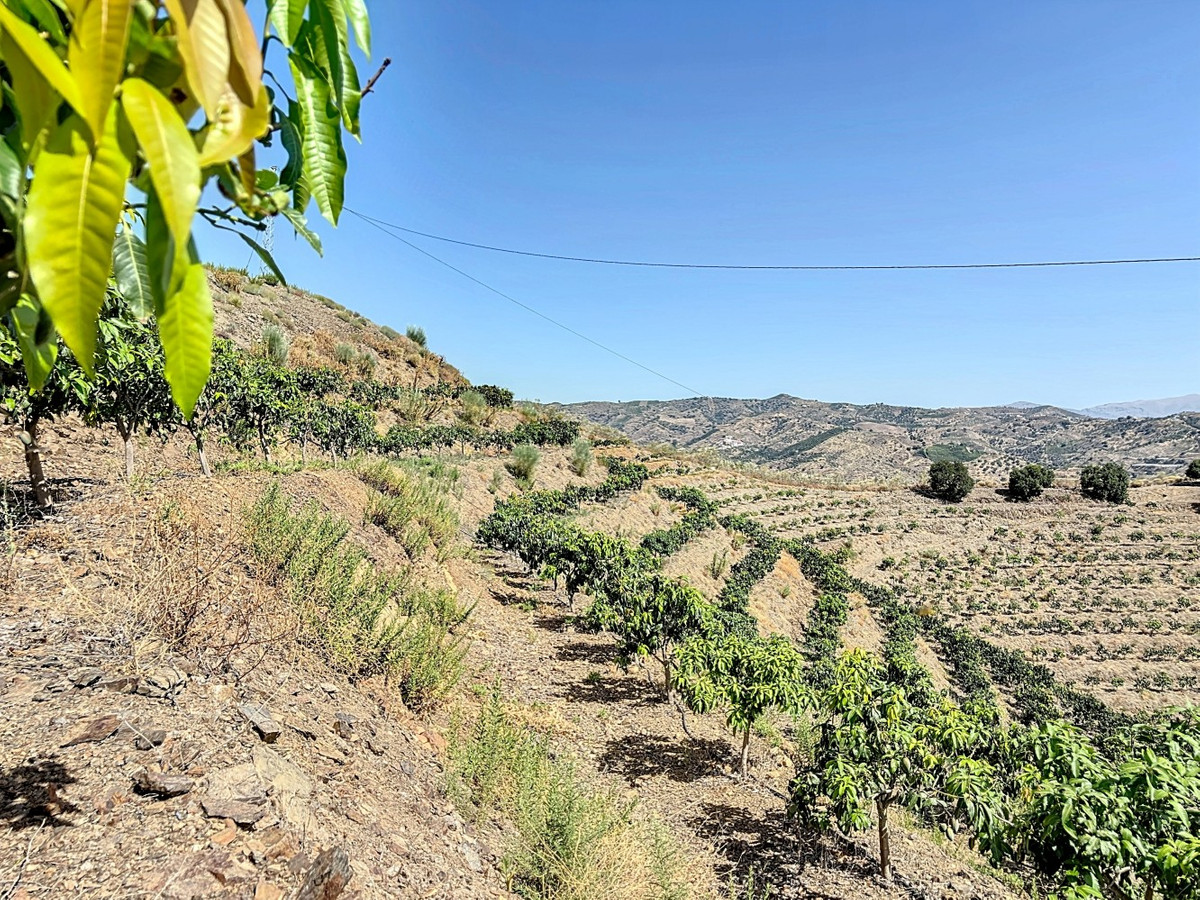 Te koop Grond Costa Del Sol Cajiz € 425.000,-