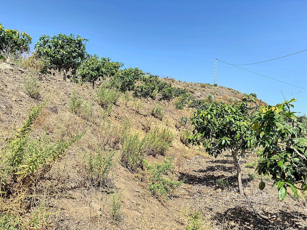 Te koop Grond Costa Del Sol Cajiz € 425.000,-