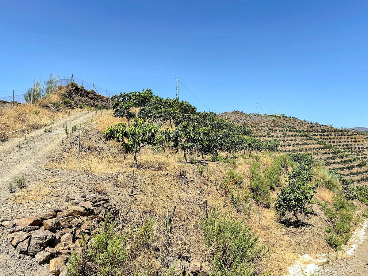 Te koop Grond Costa Del Sol Cajiz € 425.000,-