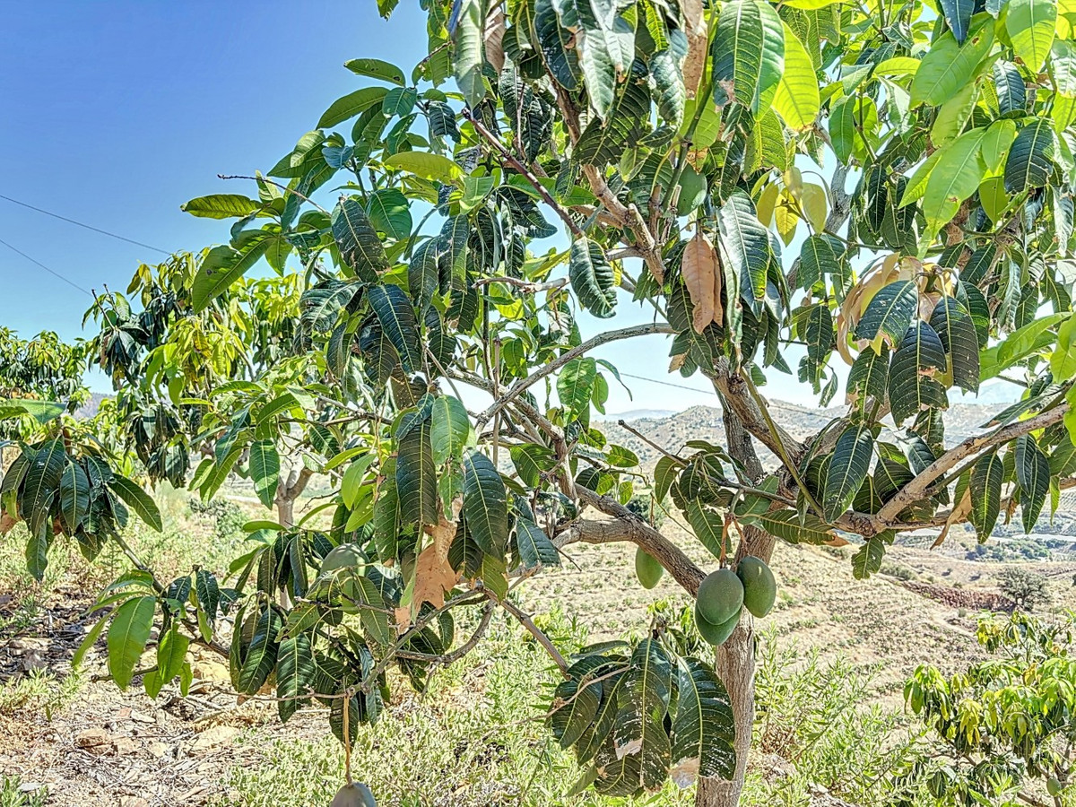 Te koop Grond Costa Del Sol Cajiz € 425.000,-