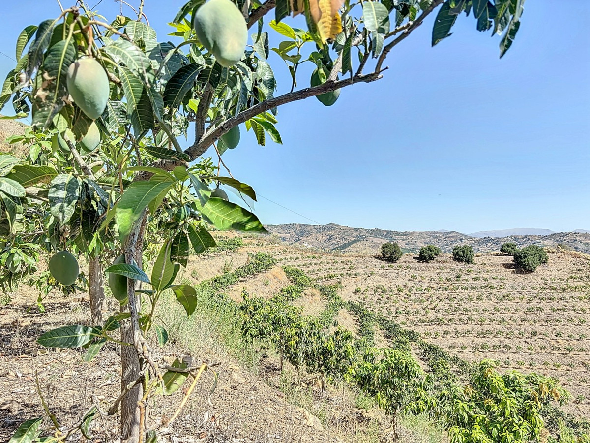 Te koop Grond Costa Del Sol Cajiz € 425.000,-