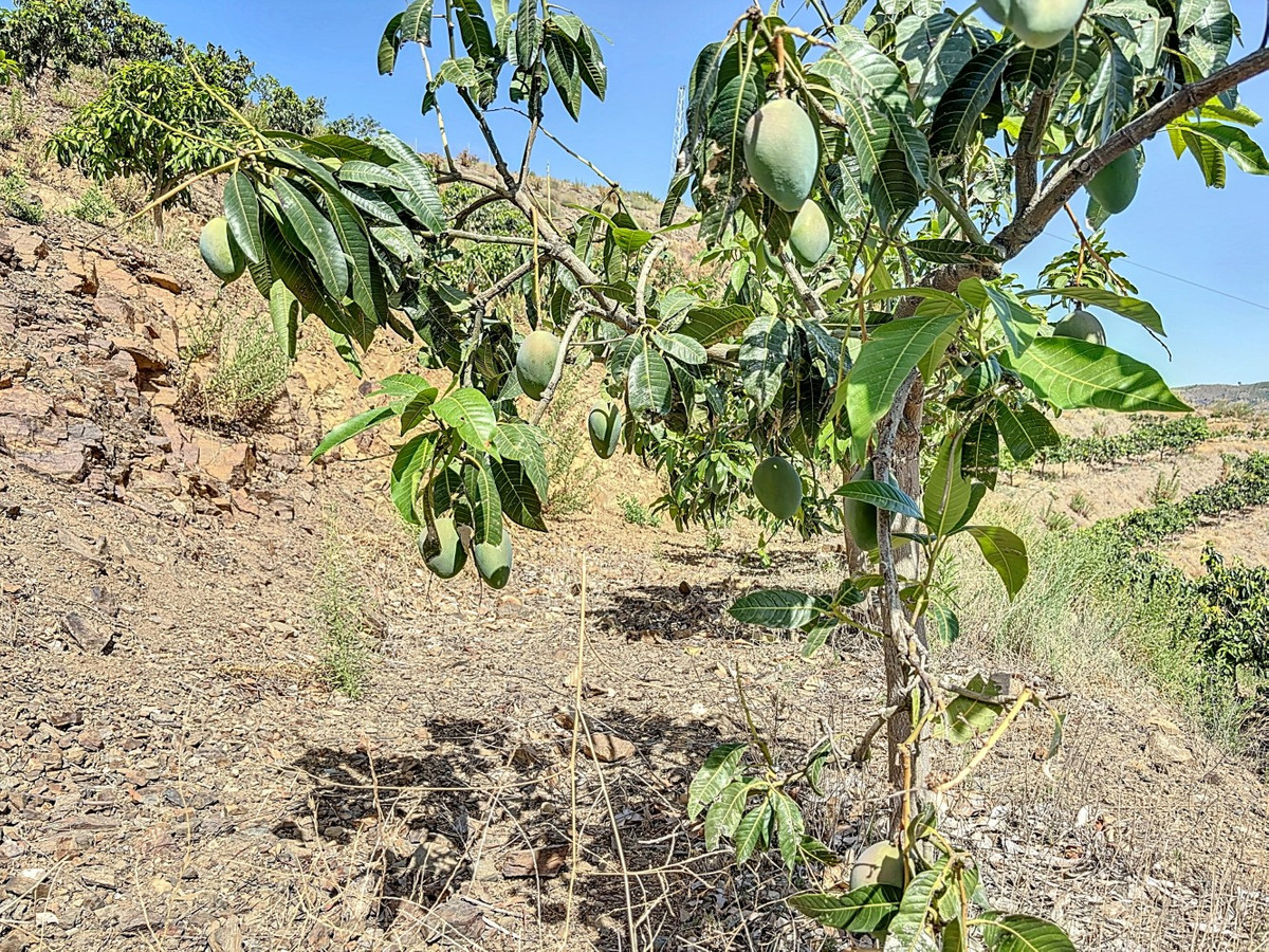 Te koop Grond Costa Del Sol Cajiz € 425.000,-