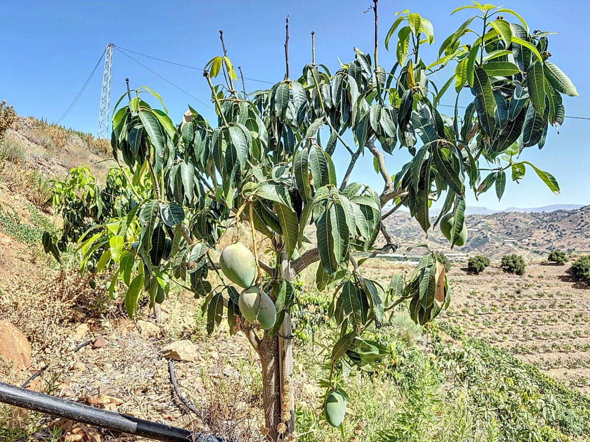 Te koop Grond Costa Del Sol Cajiz € 425.000,-