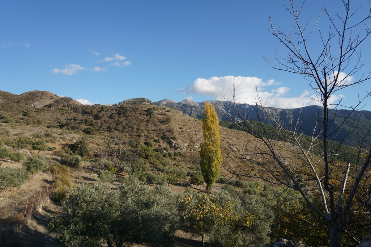 Te koop Vrijstaande Villa Costa Del Sol Alcaucín € 260.000,-