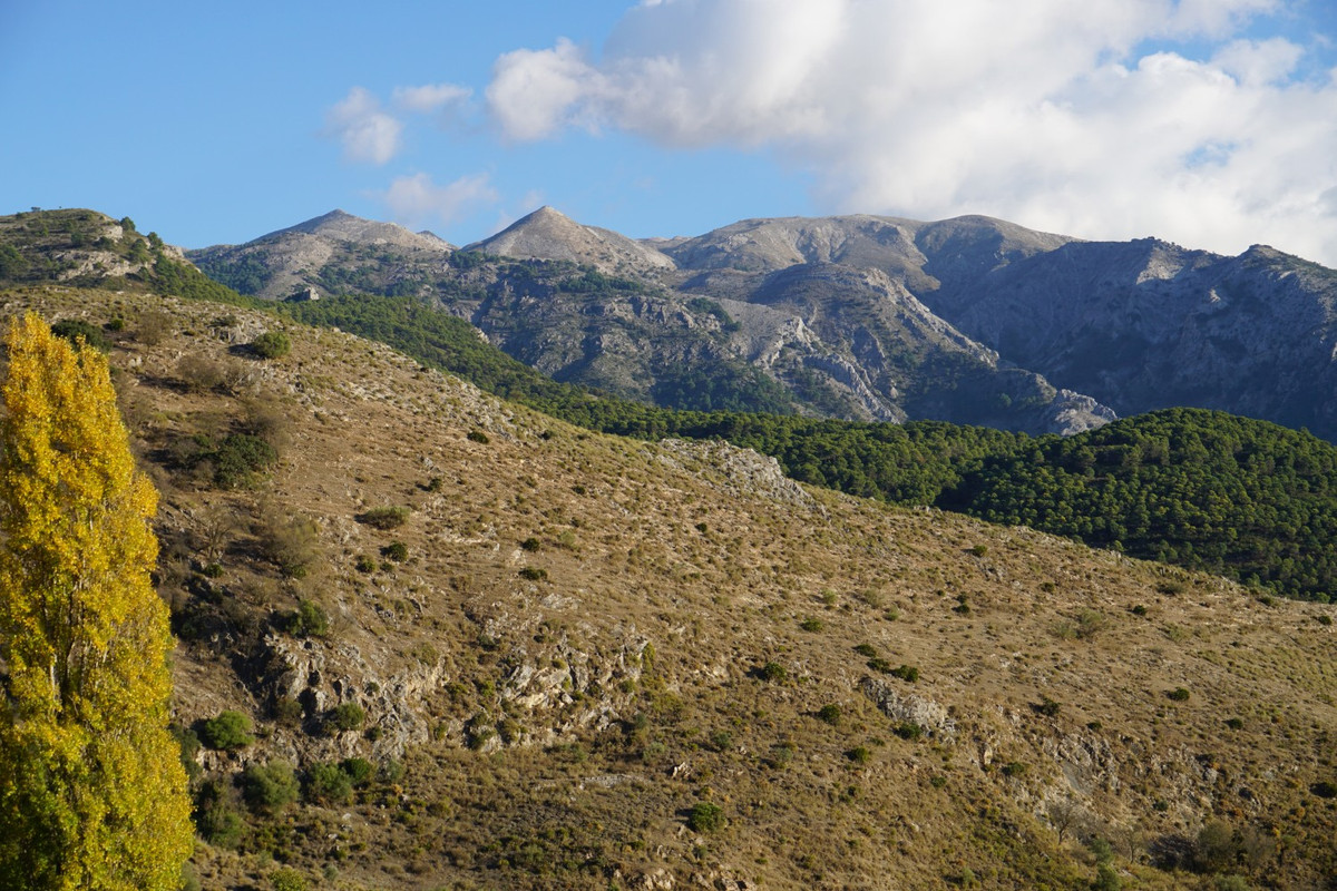 Te koop Vrijstaande Villa Costa Del Sol Alcaucín € 260.000,-