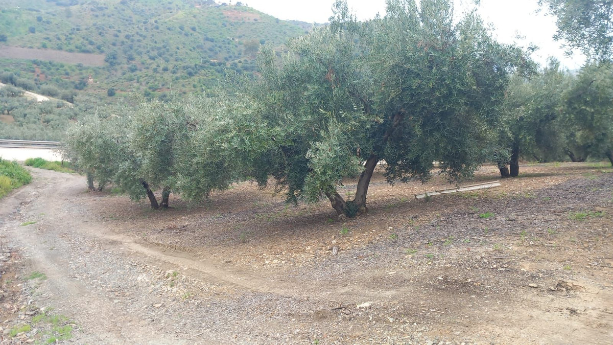 Te koop Finca - Cortijo Costa Del Sol Riogordo € 220.000,-