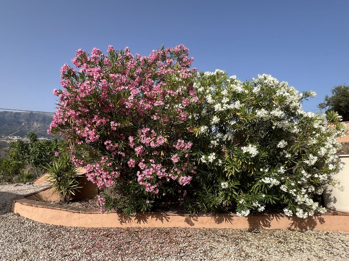 Te koop Vrijstaande Villa Costa Del Sol Canillas De Aceituno € 294.000,-