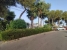 20-d1f7658cbe4ba6cd8666fec30fba80ad.jpg