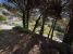 8-e64a9055bba3e77ac8aca3b893cdf826.jpg
