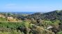 7-aa4cc561180b369757c0bb4af9886cd3.jpg