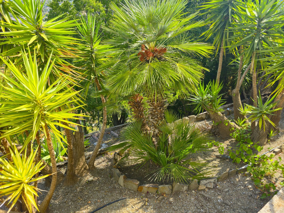 Te koop Vrijstaande Villa Costa Del Sol Cómpeta € 497.000,-